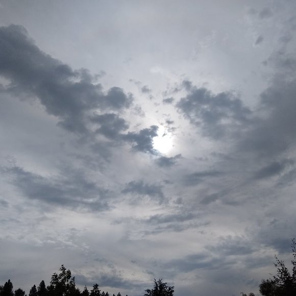 Just looking not selling right now 🙂 - Picture 1 of 1